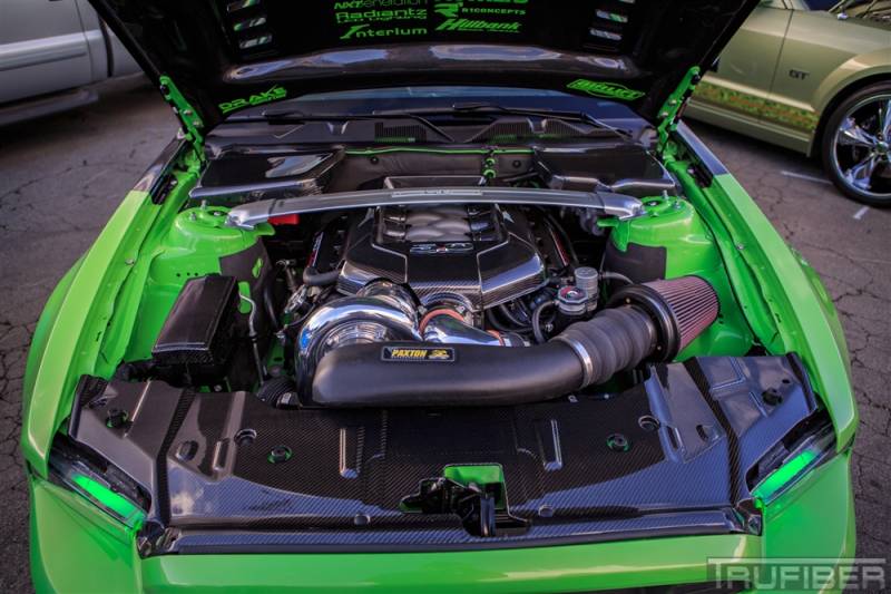 TC10025-LG88 10-14 Ford Mustang GT TruFiber Carbon Fiber Upper Front Grille!!