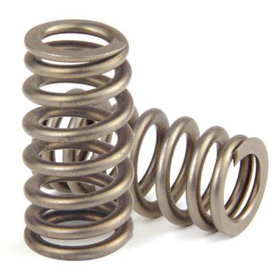 Comp Cams - Ford Mustang Comp Cams Valve Springs Beehive