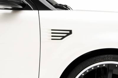 3dCarbon - Ford Flex 3dCarbon Series 3 Fender Vents with Mesh Grille - 691598