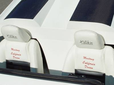 RKSport - Ford Mustang RKSport California Dream Fountain Cover - 18017001