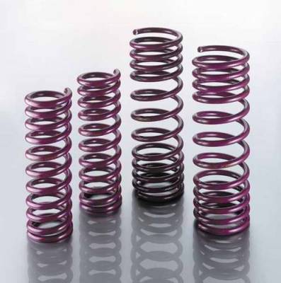 Intrax - Lowering Suspension Springs - 45.1.011