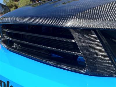 TruFiber - Ford Mustang TruFiber Carbon Fiber LG88 Bumper Grill TC10025-LG88