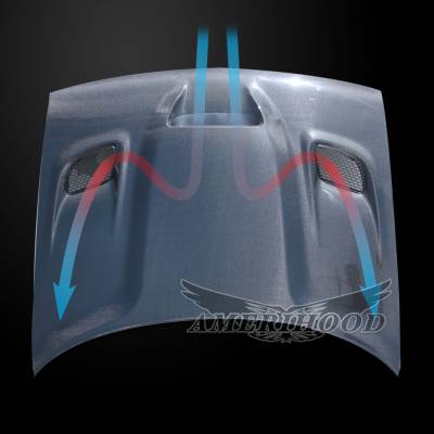 AmeriHood Carbon Fiber - Dodge Challenger HC-Style AmeriHood Carbon Fiber Hood DCG08AHCATCFH