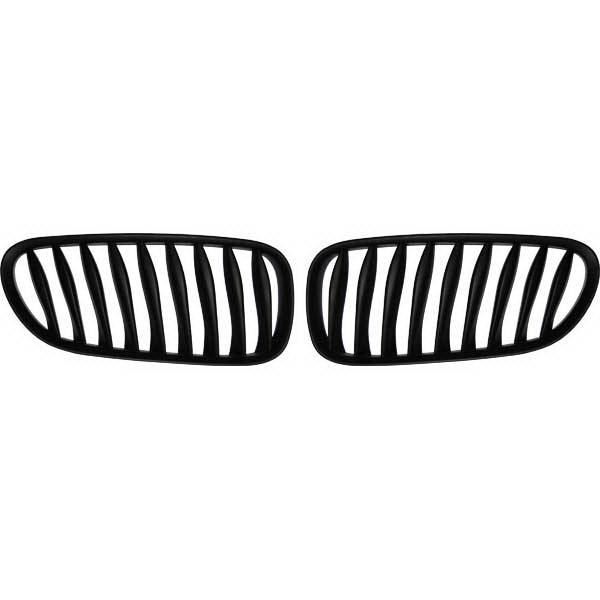 Restyling Ideas - BMW Z4 Restyling Ideas Performance Grille - 72-GB-Z4E8503-BB