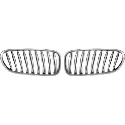 Restyling Ideas - BMW Z4 Restyling Ideas Performance Grille - 72-GB-Z4E8503-CCS