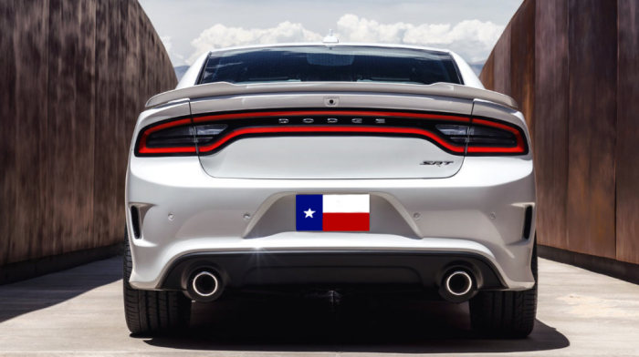 DAR Spoilers - Dodge Charger Hellcat DAR Spoilers OEM Look Flush Wing w/o Light ABS-789