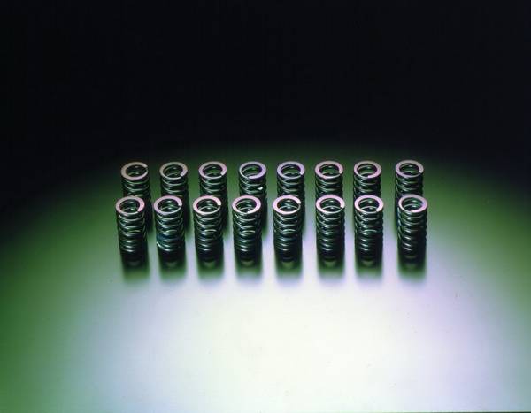 HKS - Nissan Silvia HKS Valve Spring Set - 22001-AN002