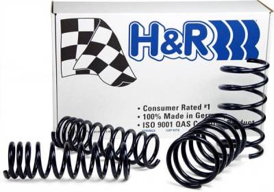 H&R - H&R Race Lowering Spring 29484