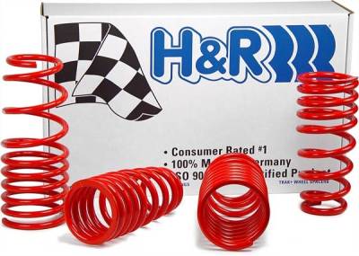 H&R - Ford Mustang H&R H&R Race Springs - 47200