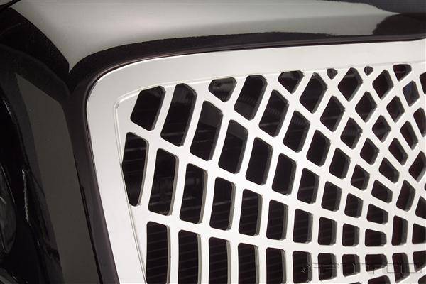 Putco - Chrysler 300 Putco Liquid 3D Grille - Spiderweb - 96162