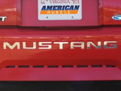 AM Custom - Ford Mustang Stainless Steel Bumper Insert Letters - 13037