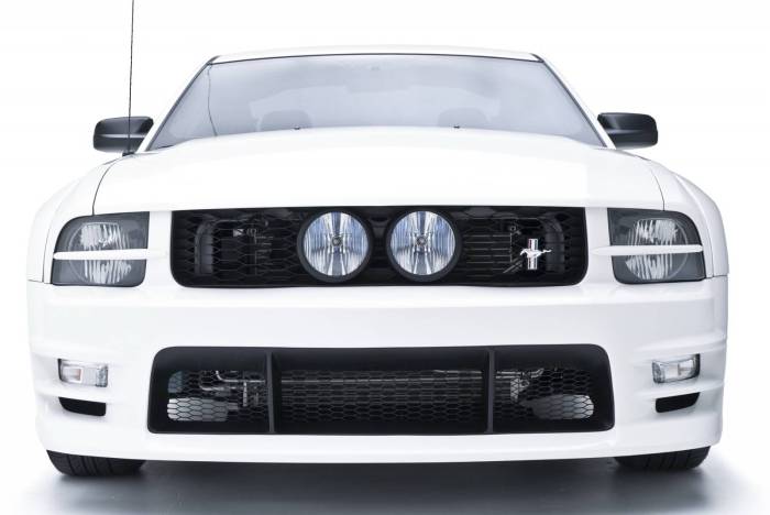 3dCarbon - Ford Mustang 3dCarbon E-Style Grille - 691039