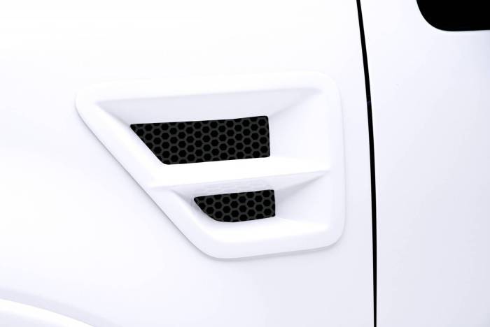 3dCarbon - Ford F150 3dCarbon Type I Front Fender Vent with Grille & Horizontal Cross Bar- Pair - 691106