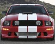 AM Custom - Ford Mustang White Dodge Challenger Lemans Style Stripes 12 Inch - 26051A