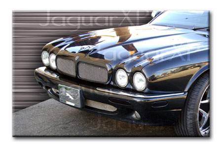 XJ8 Lower Mesh Grille