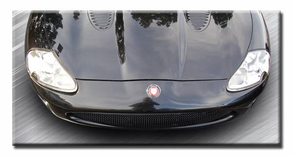 Custom - Stealth Black One Piece Mesh Grille