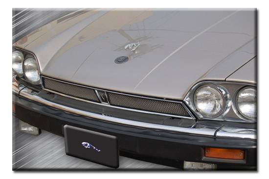 Custom - Mesh Grille Insert