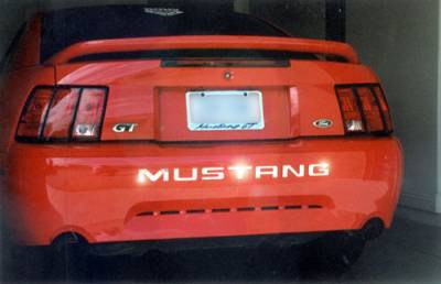 Custom - Mustang Stainless Steel Bumper Insert