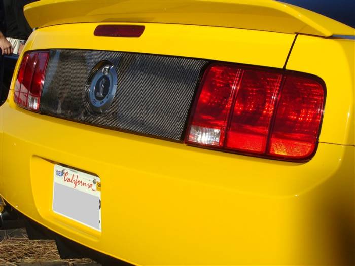 TruFiber - Ford Mustang TruFiber Carbon Fiber LG34 Black Out Blackout Panel TC10024-LG34