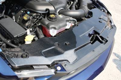 TruFiber - Ford Mustang TruFiber Carbon Fiber LG46 Radiator Cover TC10025-LG46