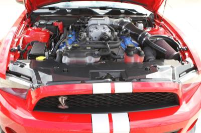 TruFiber - Ford Mustang TruFiber Carbon Fiber GT500 LG46 Radiator Cover TC10025-LG46KR
