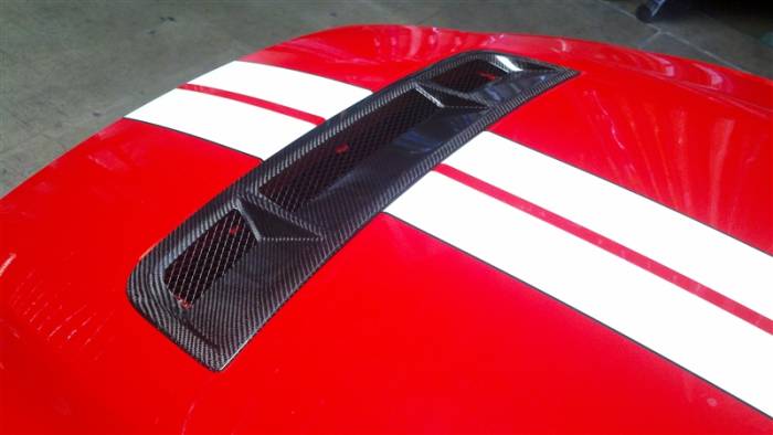 TruFiber - Ford Mustang TruFiber Carbon Fiber OEM Hood Insert Grill Insert TC10025-LG77KR