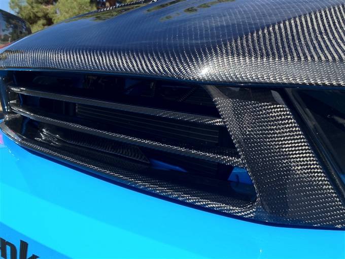 TruFiber - Ford Mustang TruFiber Carbon Fiber LG88 Bumper Grill TC10025-LG88