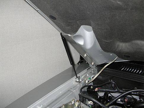 CDC - Ford Mustang CDC Hood Struts