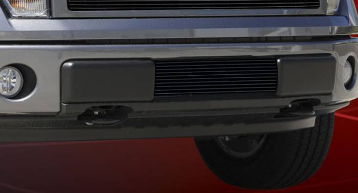 T-Rex - Ford F150 T-Rex Bumper Billet Grille Insert - All Black - 25569B
