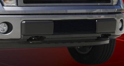 T-Rex - Ford F150 T-Rex Bumper Billet Grille Insert - All Black - 25569B