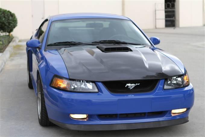 TruFiber - Ford Mustang TruFiber Carbon Fiber Mach 1 Hood TC10023-A65