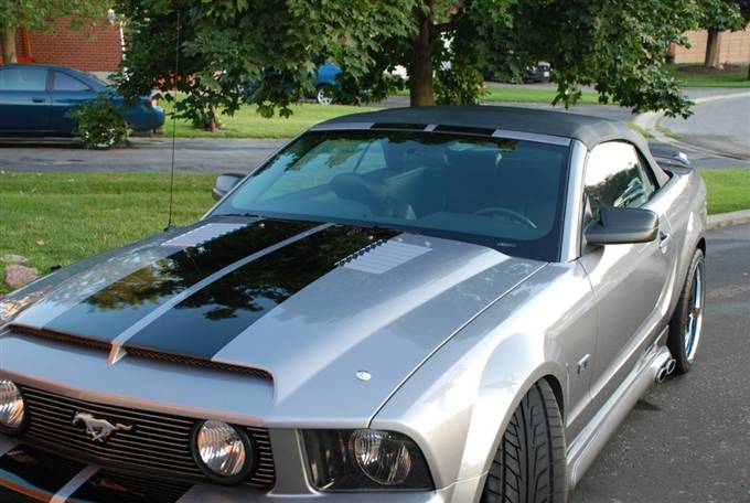 TruFiber - Ford Mustang TruFiber GT-S V.4 Hood TF10024-A53