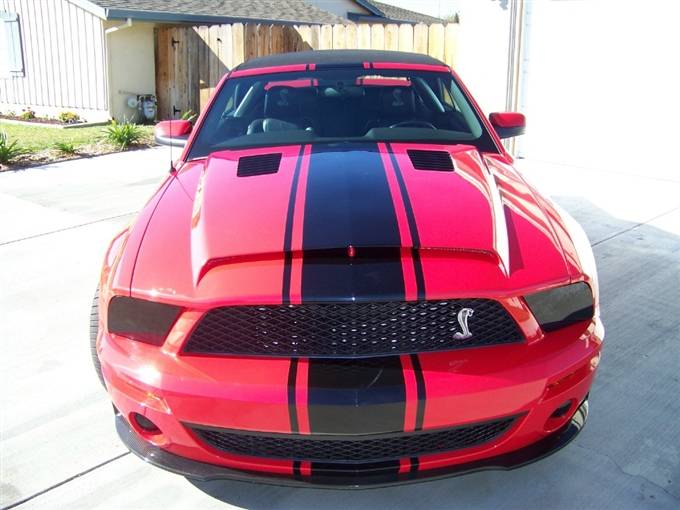 TruFiber - Ford Mustang TruFiber GT500 Venom II Hood TF10024-A54KR