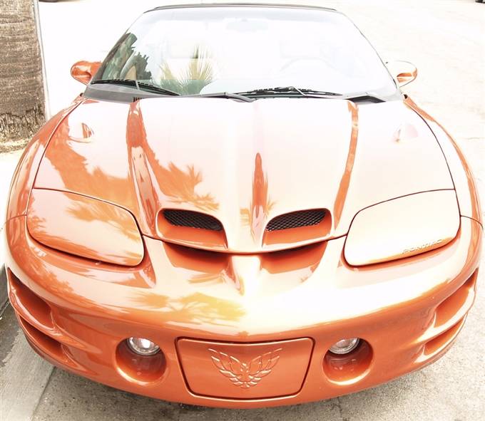 Pontiac Firebird TruFiber WS-9 Hood TF40021-A59