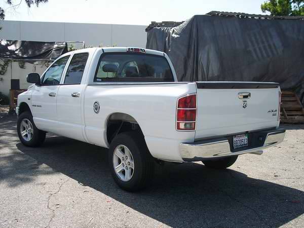 TFP - TFP Chrome ABS Taillight Insert Accent - D Style - 330D