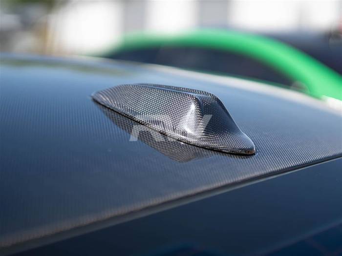 RW Carbon - BMW G05 G21 G22 G81 Carbon Fiber Antenna Cover bmwg05018