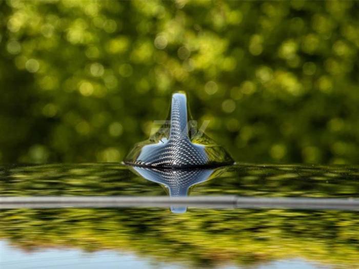 RW Carbon - BMW G01 X3 G02 X4 Carbon Fiber Antenna Cover bmwg01011