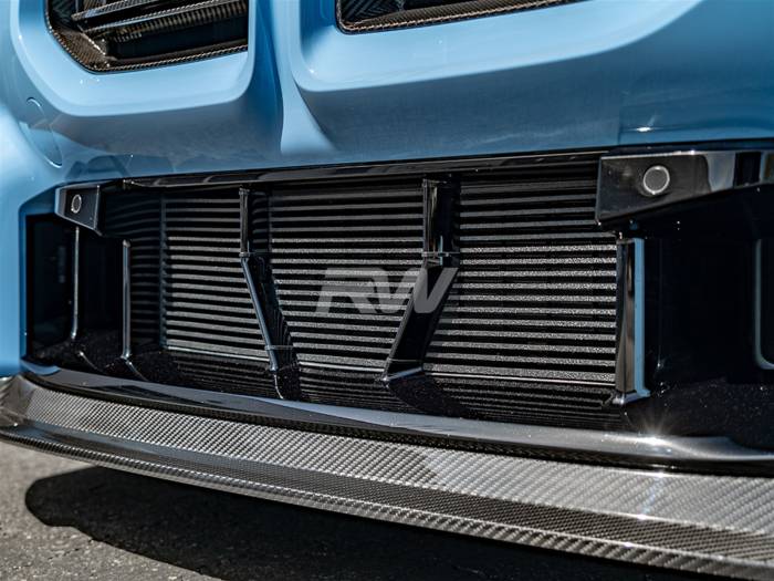 RW Carbon - BMW G87 M2 ABS Mesh Lower Grille Guard bmwg87049