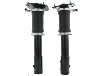 Rear Air Bag Suspension Kit - 75688