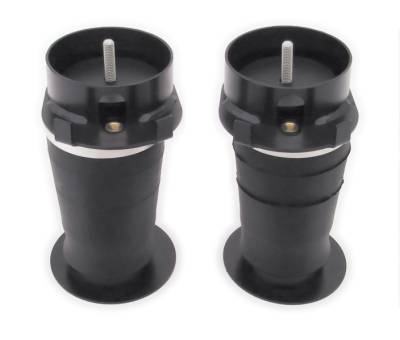 Pontiac Grand Prix RideTech CoolRide Rear Air Spring & Bracket - Kit - 11324099