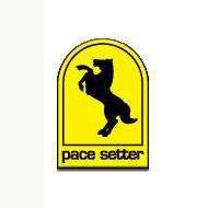Pacesetter - PaceSetter ARMOR Coat Exhaust Header - 72C1201 - Image 2