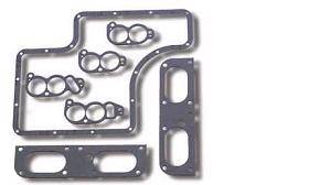 Intake Plenum Gasket