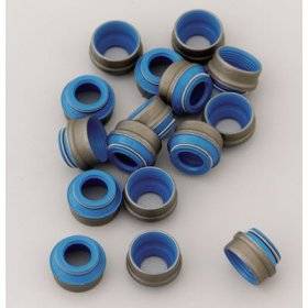 Valve Stem Seal Kit