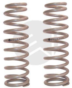 Lowering Springs - 221