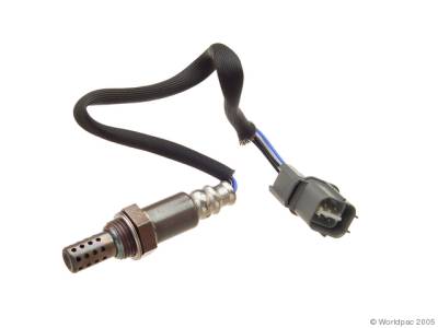 Oxygen Sensor