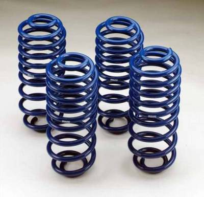 Lowering Suspension Drop Coil Kit - 1033