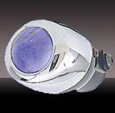 Ford F150 Pilot Custom Remote Fog Light Kit - Blue - Pair - PL-131B