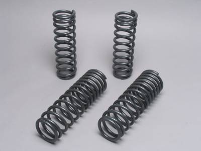 Sport Suspension Lowering Springs - 40.0808
