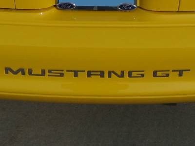 AM Custom - Ford Mustang Stainless Steel Bumper Insert Letters - 13038 - Image 2