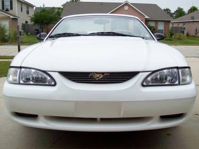 AM Custom - Ford Mustang Billet Grille Combo Kit - 17031 - Image 2